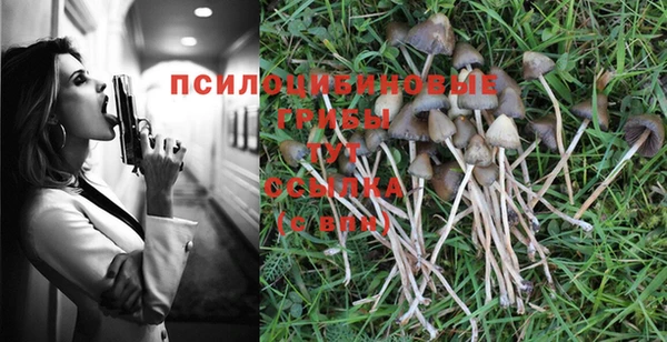 спиды Иннополис